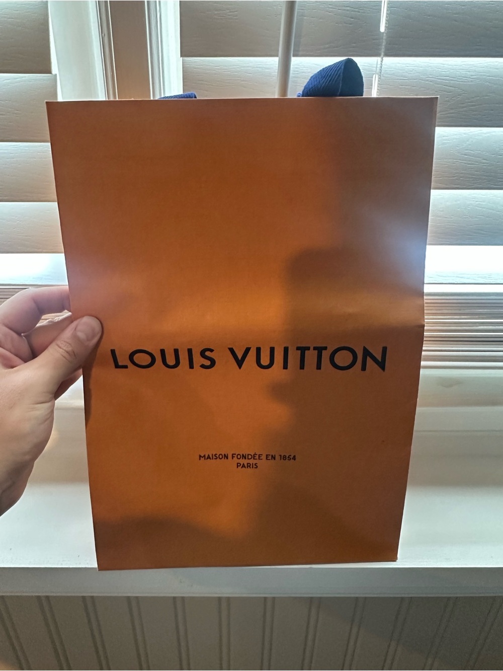 Louis Vuitton Orange and Blue Logo Gift Bag